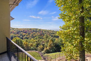 29 Falling Star Way, Landrum, SC 29356, USA Photo 50