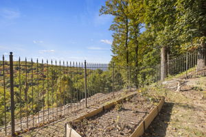 29 Falling Star Way, Landrum, SC 29356, USA Photo 98