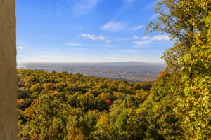 29 Falling Star Way, Landrum, SC 29356, USA Photo 51