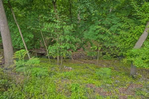 VMD050.jpg