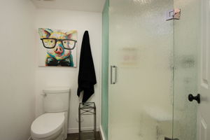 136 Lower Level Bathroom