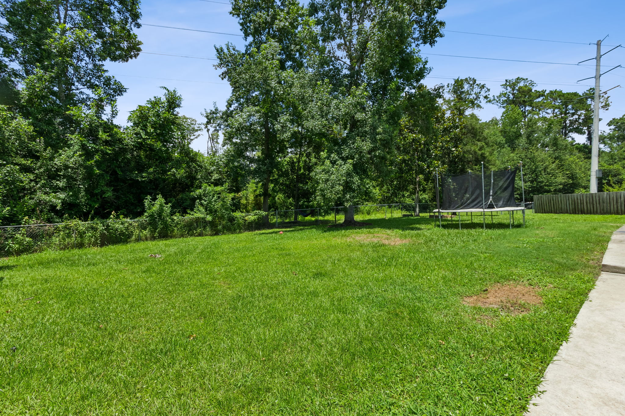 Backyard