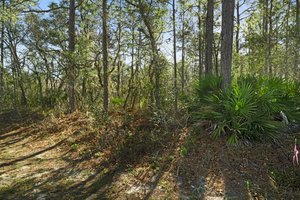 29 Linder Dr, Homosassa, FL 34446, USA Photo 37