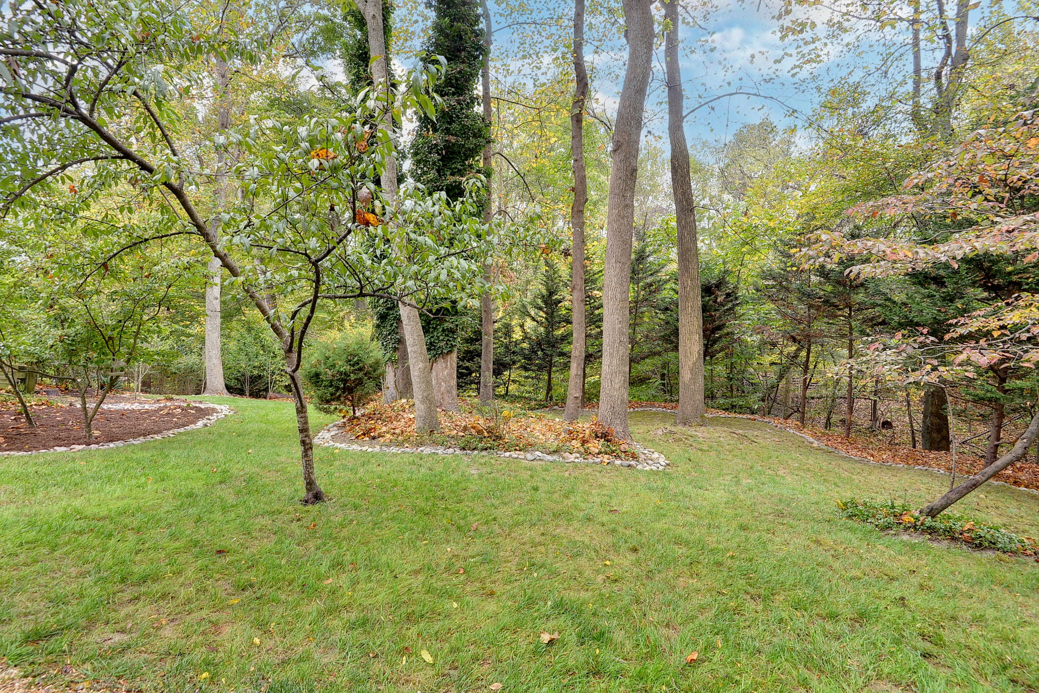  Photo 46