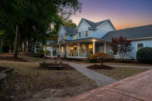 29-Pintail-Twilight-1