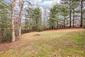 Saddle Top Rd-S1902-049.jpg