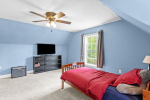  Photo 49