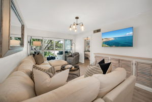 Living View 3