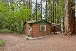 Hoot Owl Way-S3103-003.jpg