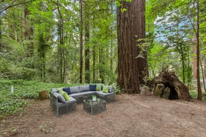 Hoot Owl Way-S3103-029.jpg