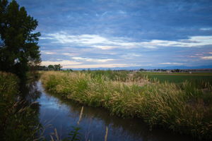  Photo 35