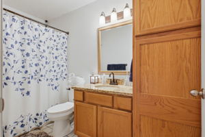  Photo 41