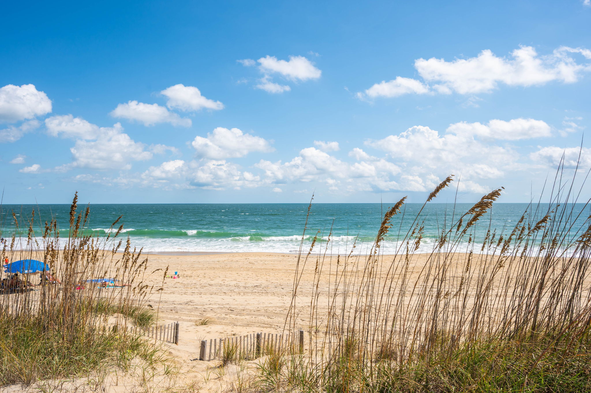 2901-NVDT-Dune-View