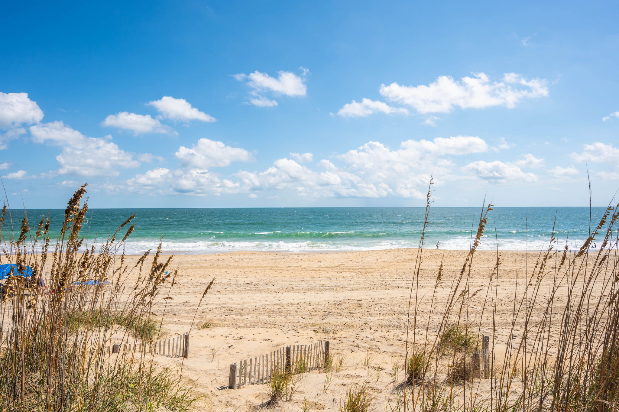 2901-NVDT-Dune-View-V2