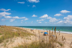 2901-NVDT-Dune-View-V3