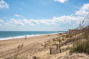 2901-NVDT-Dune-View-V4