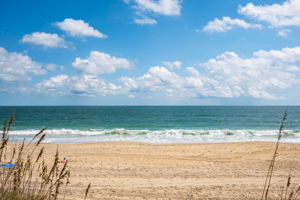 2901-NVDT-Dune-View-V5