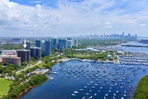 Coconut Grove