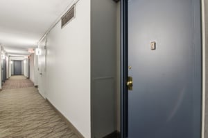 S Michigan Ave 505-S2703-005.jpg