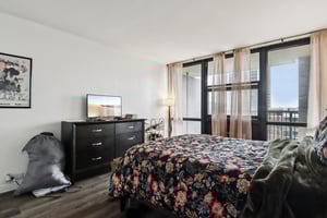 S Michigan Ave 505-S2703-021.jpg