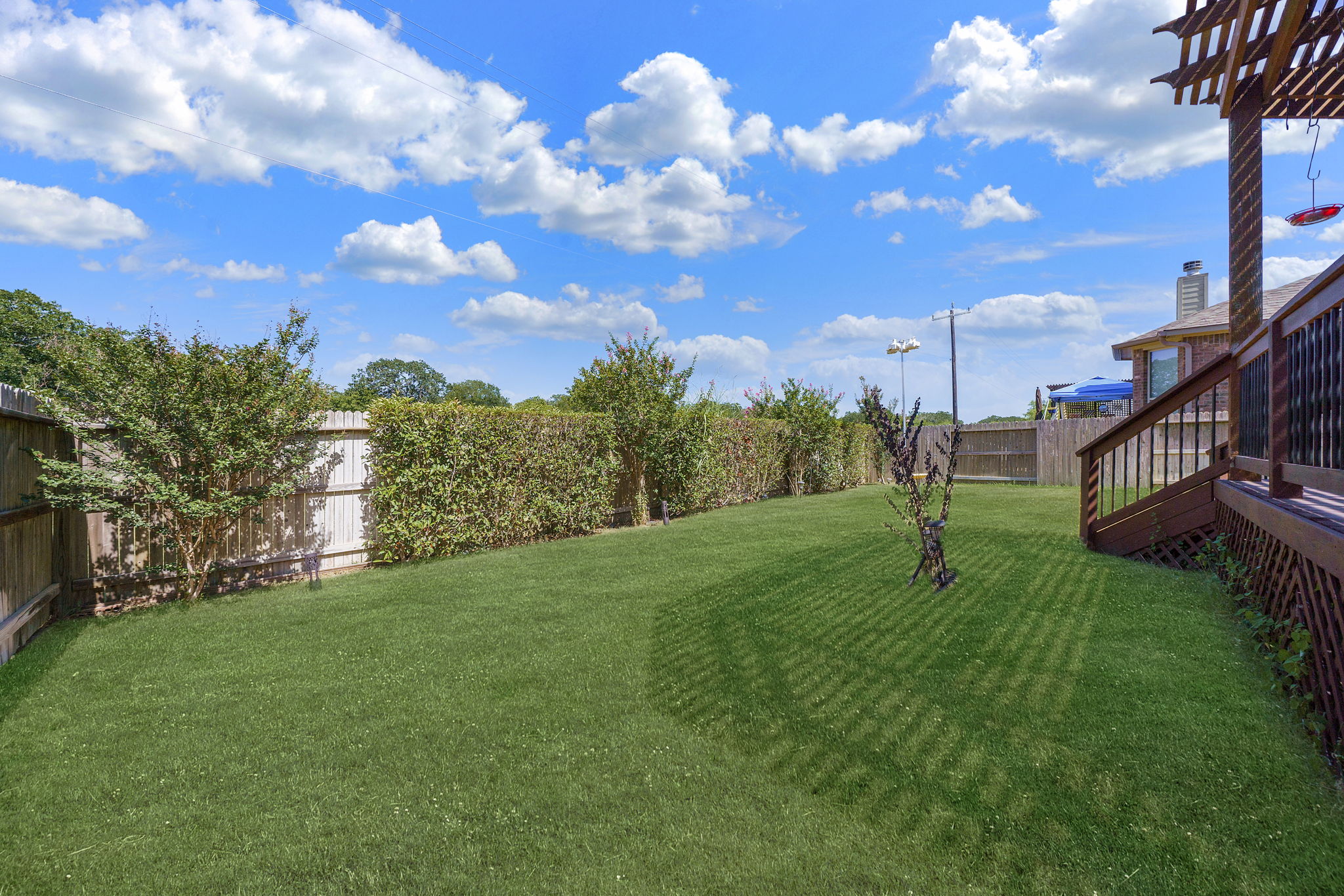  Photo 41