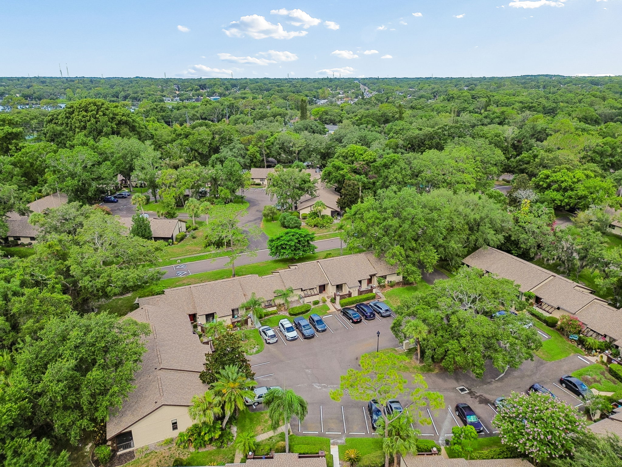 DJI_0264
