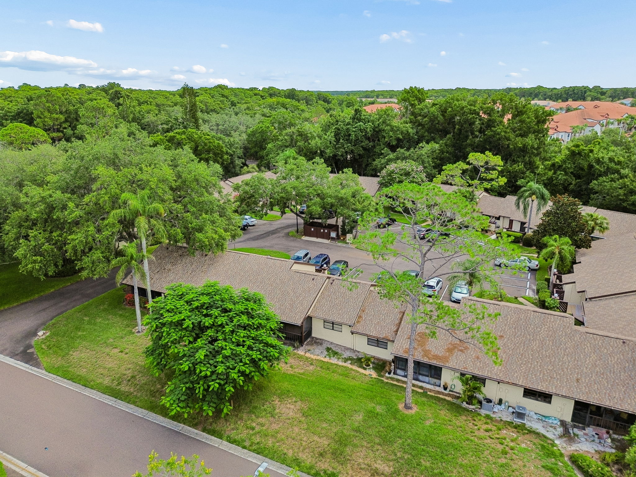 DJI_0279