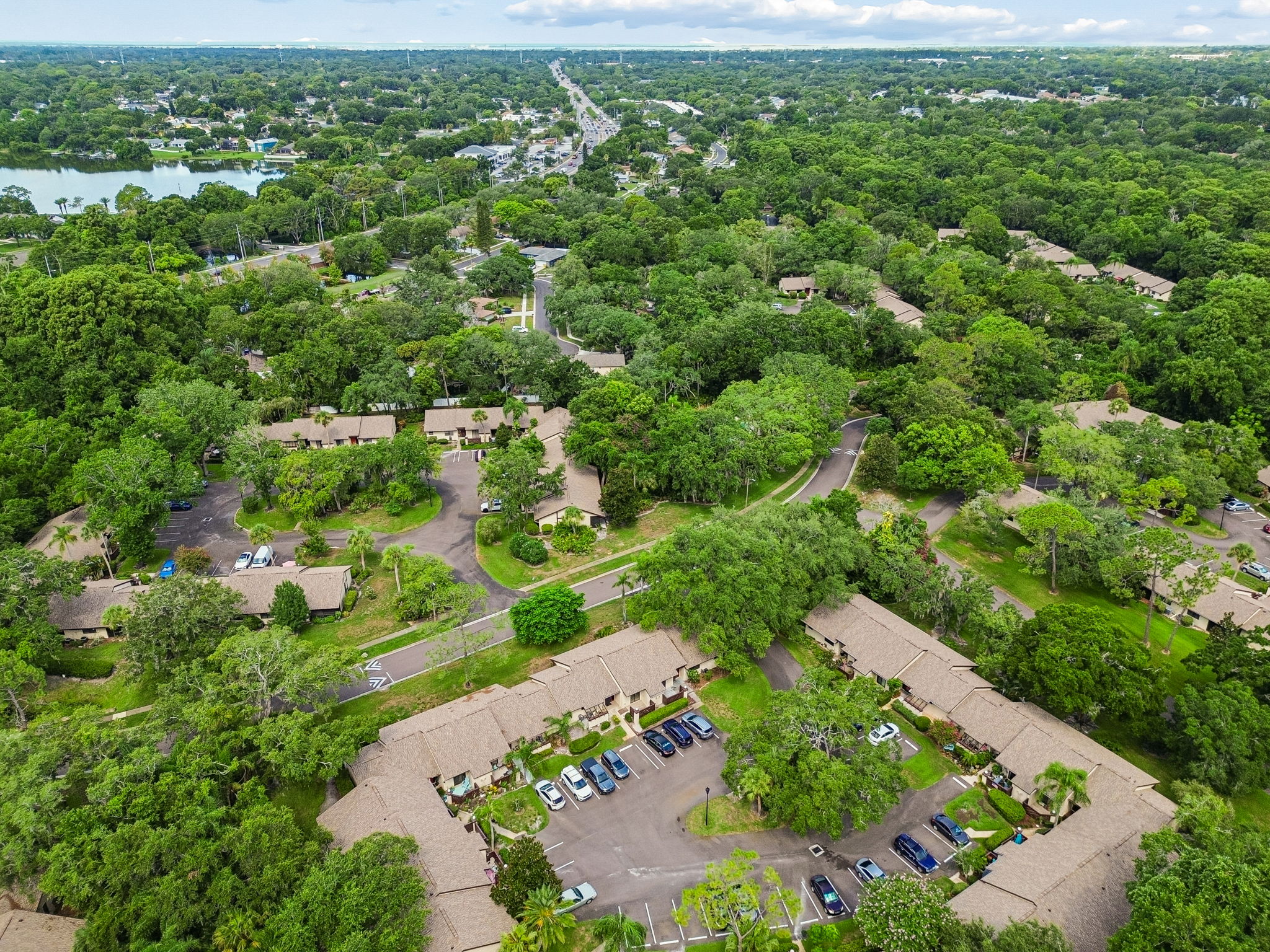 DJI_0303