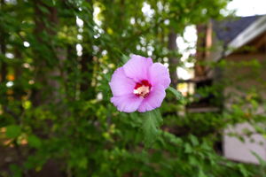  Photo 45