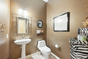 Longhorn Cir-L1804-028.jpg