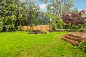 Northfield Rd-1806-077.jpg