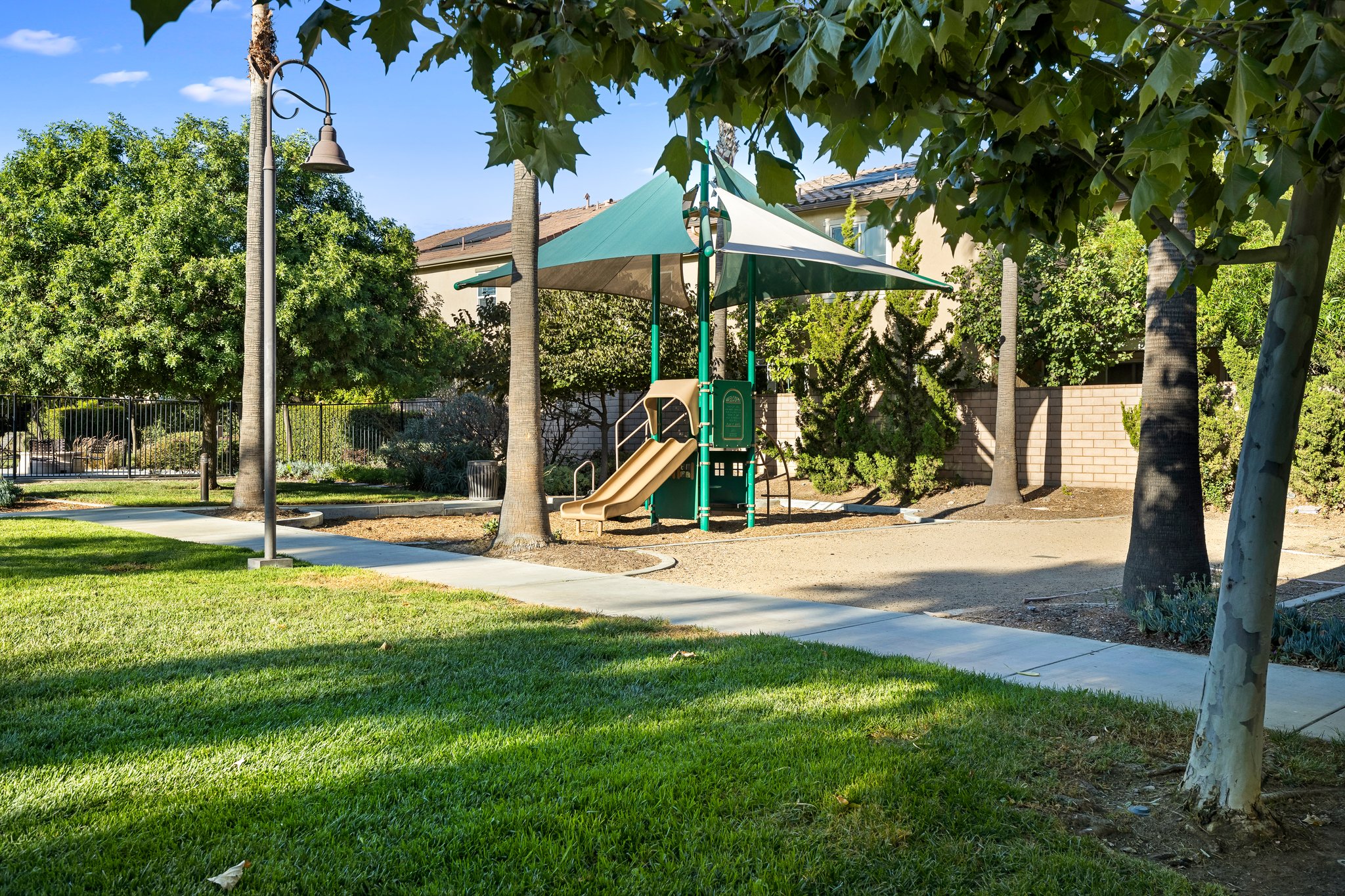  Photo 43