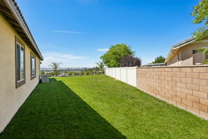 Botanical Cir-S1307-026.jpg