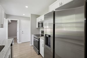 Ida Ln-S1008-009.jpg