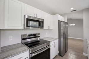 Ida Ln-S1008-011.jpg