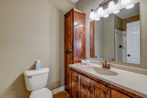 Downstairs Bathroom