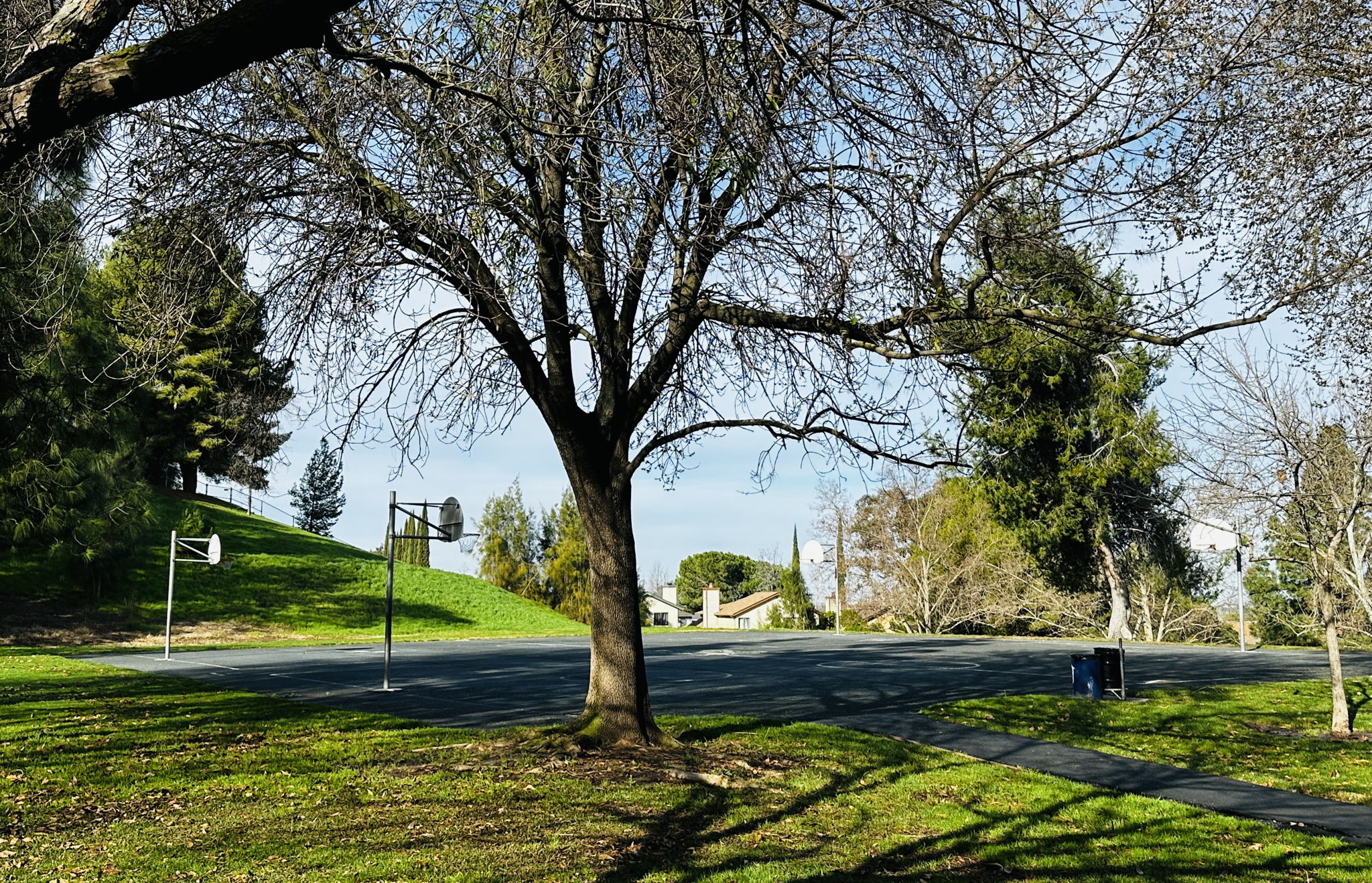  Photo 46