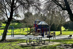  Photo 44