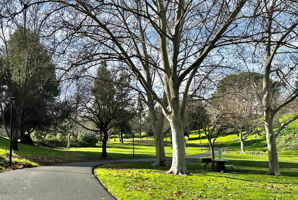  Photo 46