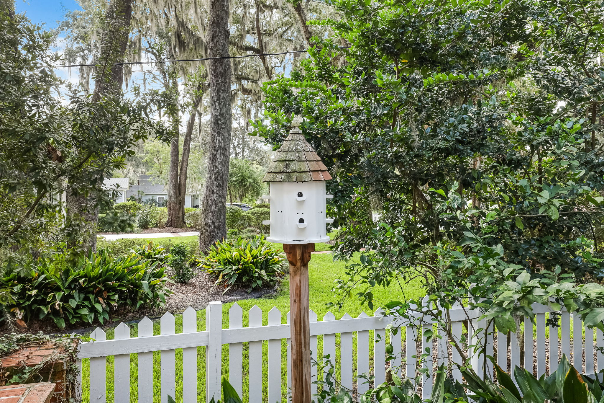 Front Yard