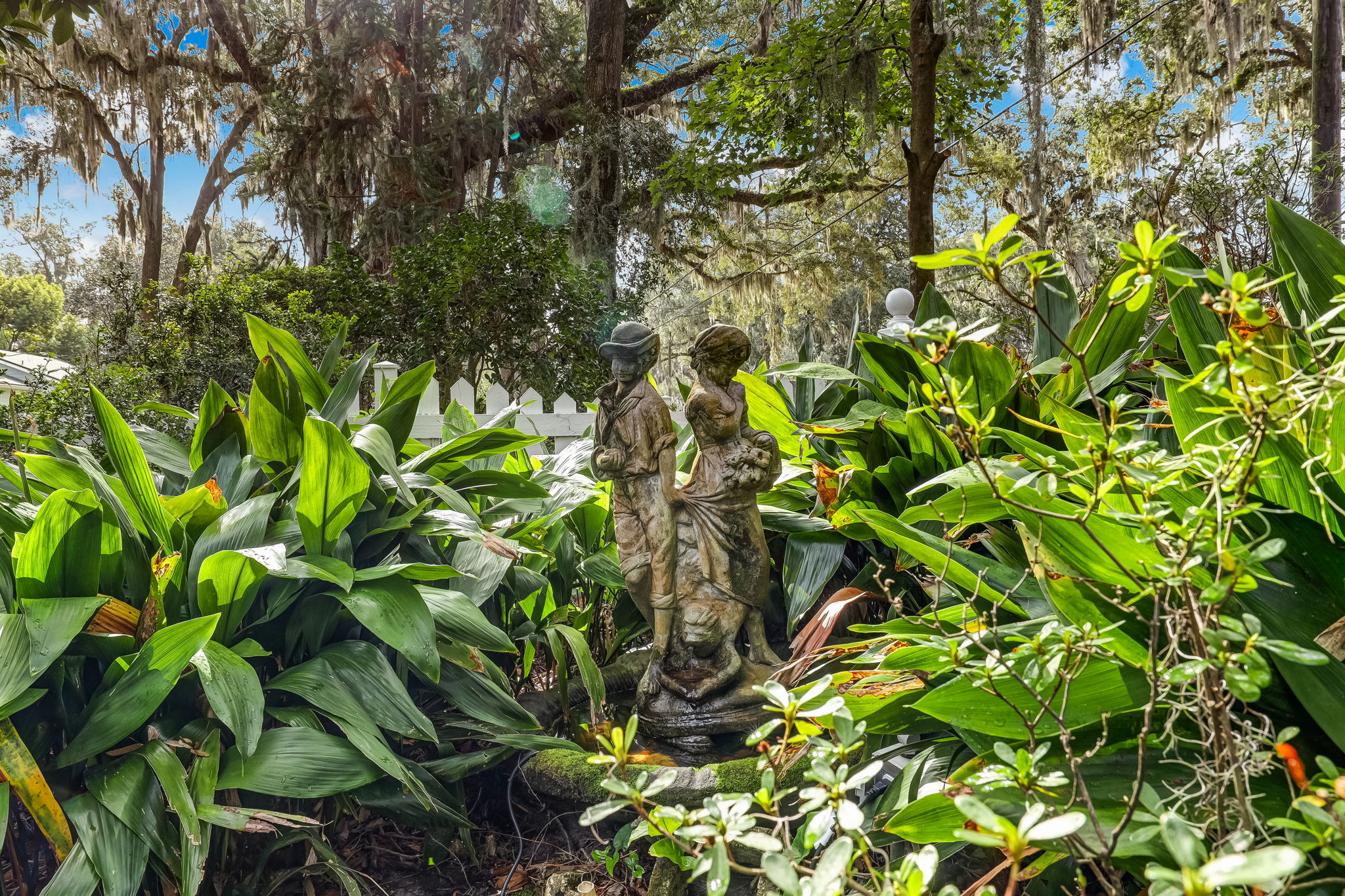 Front Yard