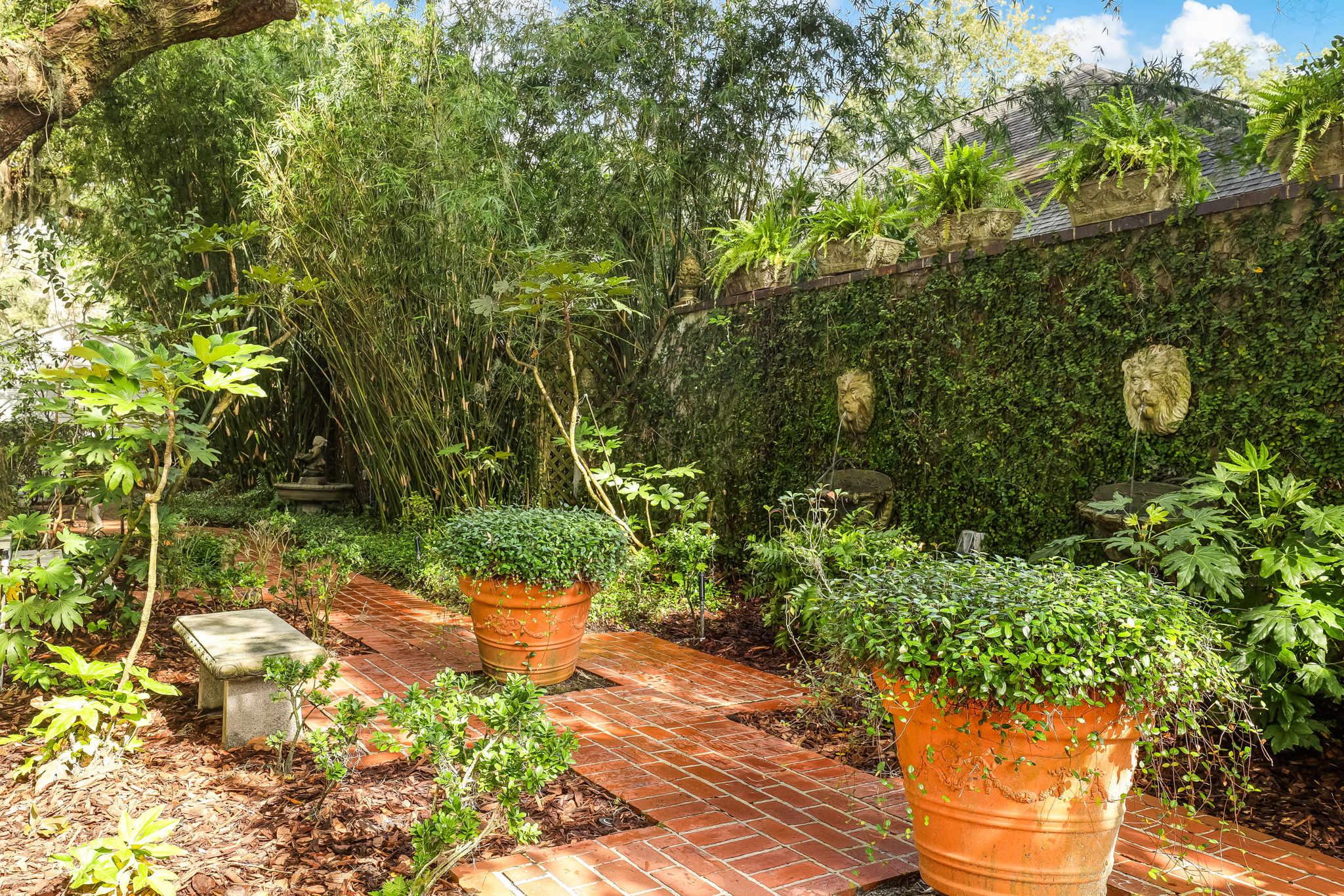 Backyard
