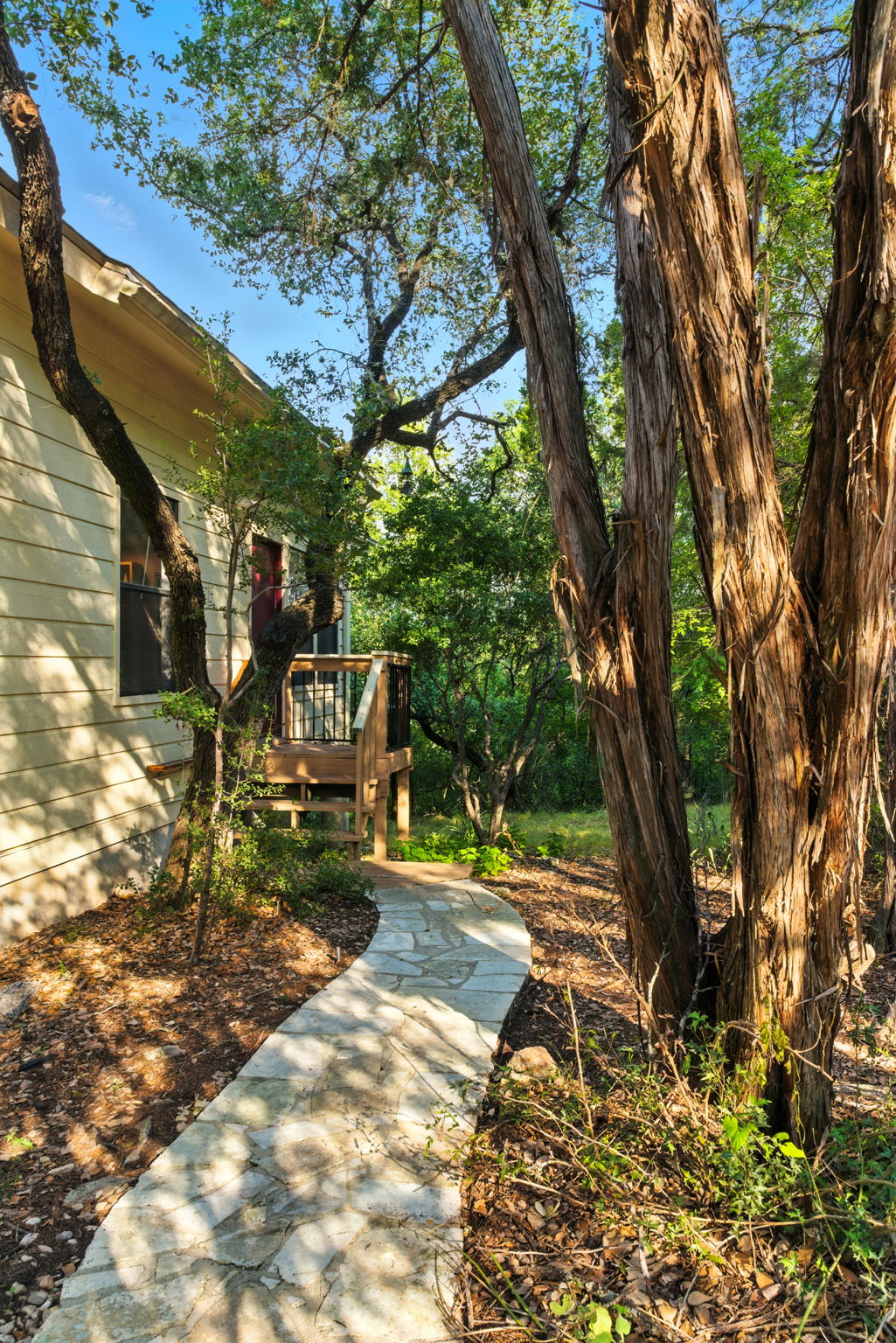 A gently curving concrete path leads you through the trees and up to the front door, immediately setting the stage for the home’s treehouse-like retreat. Surrounded by natural shade and greenery, the entry feels private and serene, welcoming you into the peaceful setting that defines this property.