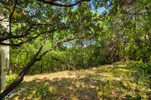 The backyard opens to a lush, tree-lined edge where the land slopes away, creating a natural buffer that ensures both privacy and peaceful views. This unique setting enhances the treehouse retreat feel of the property, with the canopy of oaks and greenery giving the sense of being tucked away in your own private hideaway.