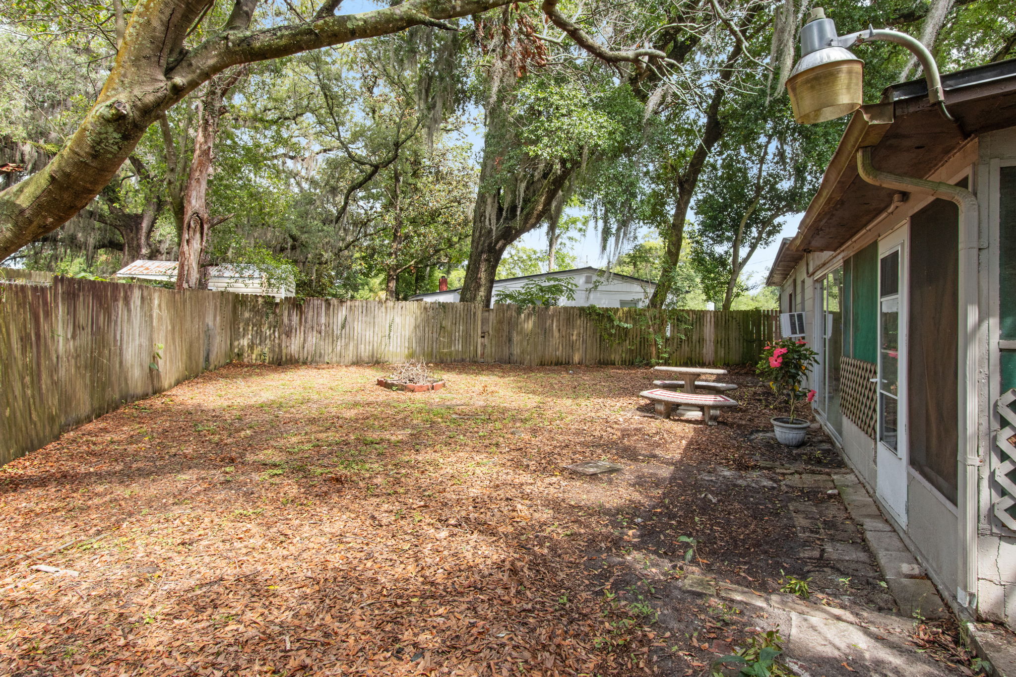 Backyard