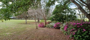  Photo 52