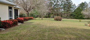 Photo 49