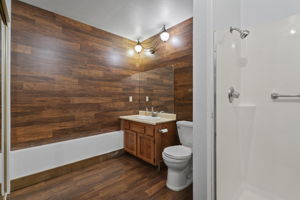  Photo 43