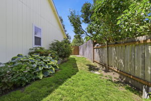  Photo 49