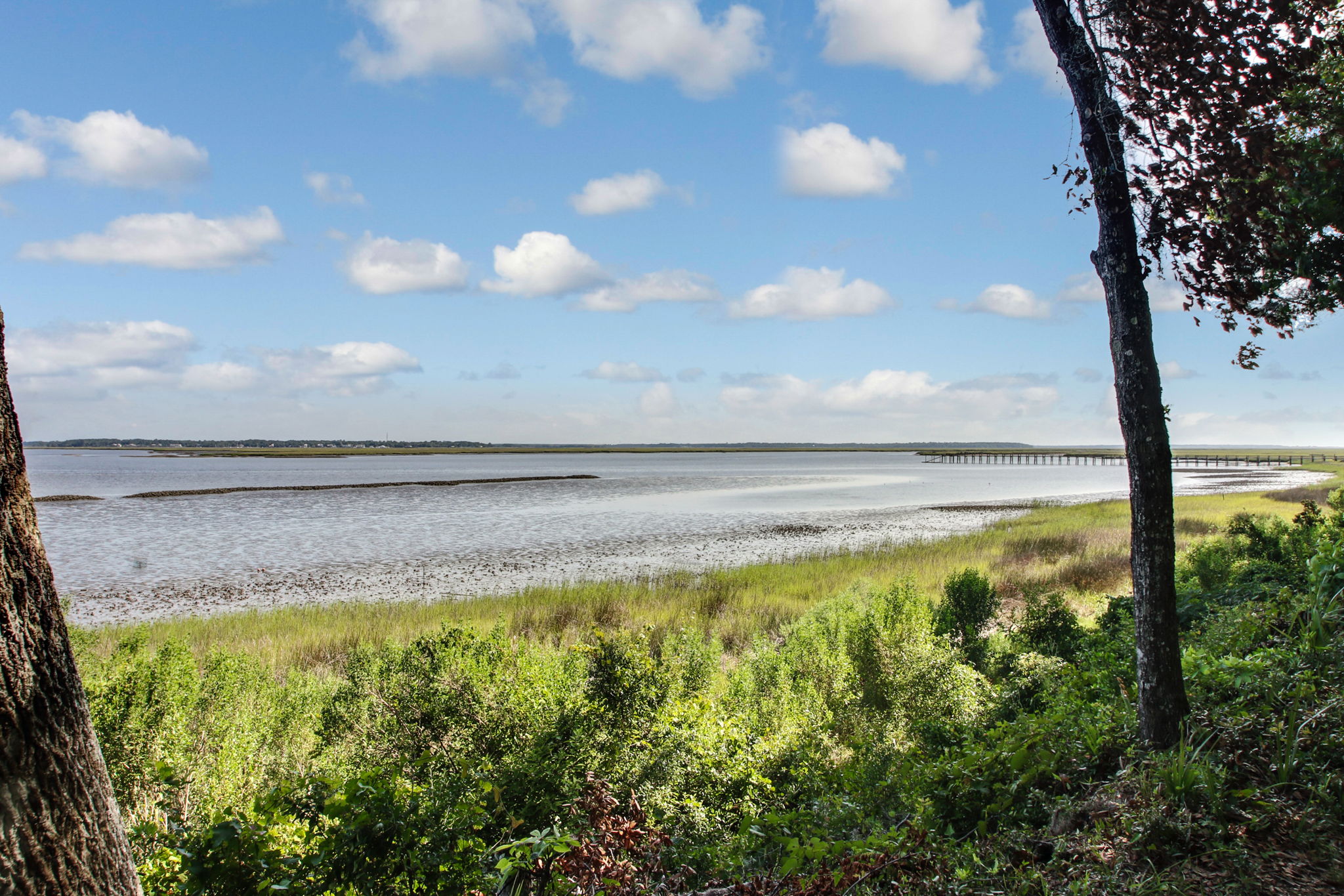 29103 Grandview Manor, Yulee, FL 32097 ECVT